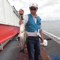 尼崎市立魚つり公園 釣果