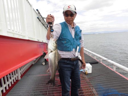 尼崎市立魚つり公園 釣果