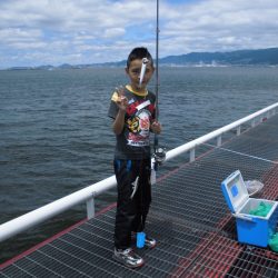 尼崎市立魚つり公園 釣果