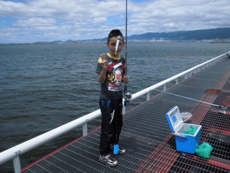 尼崎市立魚つり公園 釣果