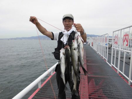 尼崎市立魚つり公園 釣果