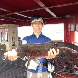尼崎市立魚つり公園 釣果