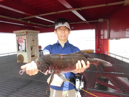 尼崎市立魚つり公園 釣果