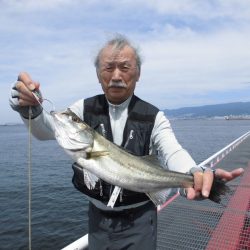 尼崎市立魚つり公園 釣果
