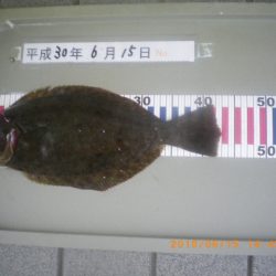 姫路市立遊魚センター 釣果