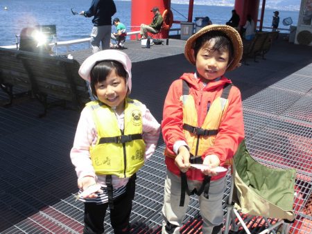 尼崎市立魚つり公園 釣果