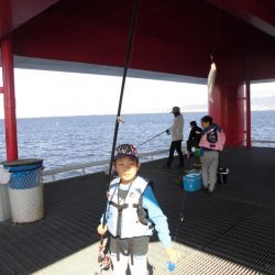 尼崎市立魚つり公園 釣果