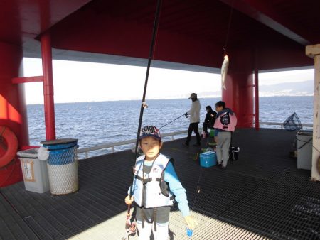 尼崎市立魚つり公園 釣果
