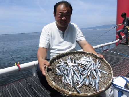 尼崎市立魚つり公園 釣果
