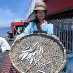 尼崎市立魚つり公園 釣果