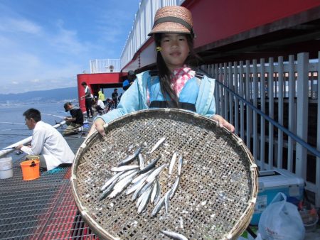 尼崎市立魚つり公園 釣果