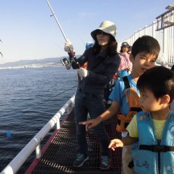 尼崎市立魚つり公園 釣果