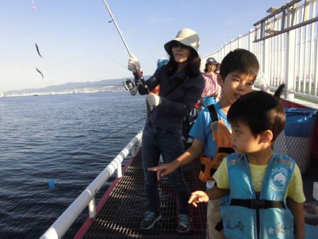 尼崎市立魚つり公園 釣果