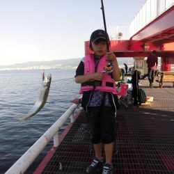 尼崎市立魚つり公園 釣果