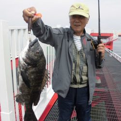 尼崎市立魚つり公園 釣果
