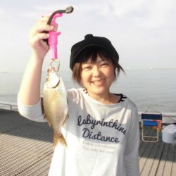 尼崎市立魚つり公園 釣果