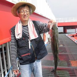 尼崎市立魚つり公園 釣果