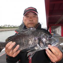 尼崎市立魚つり公園 釣果