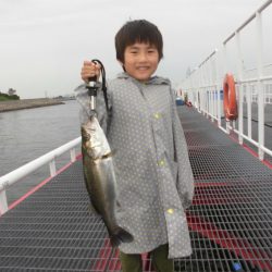 尼崎市立魚つり公園 釣果