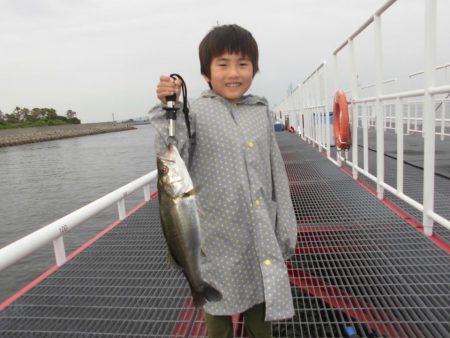 尼崎市立魚つり公園 釣果
