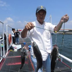 尼崎市立魚つり公園 釣果