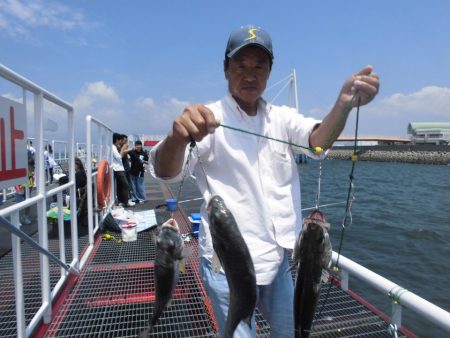 尼崎市立魚つり公園 釣果