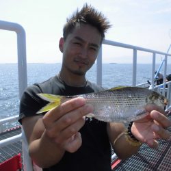 尼崎市立魚つり公園 釣果