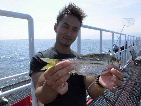 尼崎市立魚つり公園 釣果