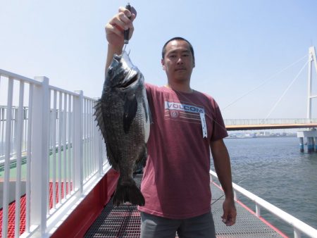 尼崎市立魚つり公園 釣果