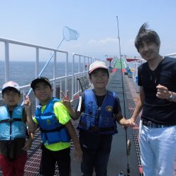 尼崎市立魚つり公園 釣果