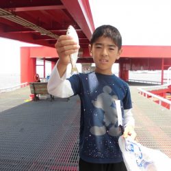 尼崎市立魚つり公園 釣果