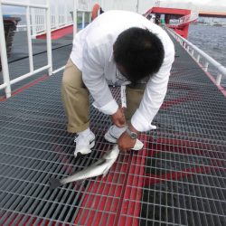 尼崎市立魚つり公園 釣果
