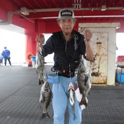 尼崎市立魚つり公園 釣果