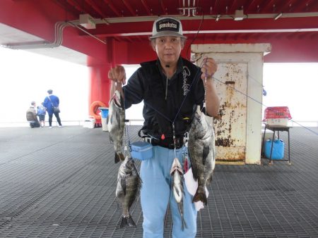 尼崎市立魚つり公園 釣果
