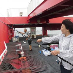 尼崎市立魚つり公園 釣果