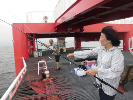 尼崎市立魚つり公園 釣果