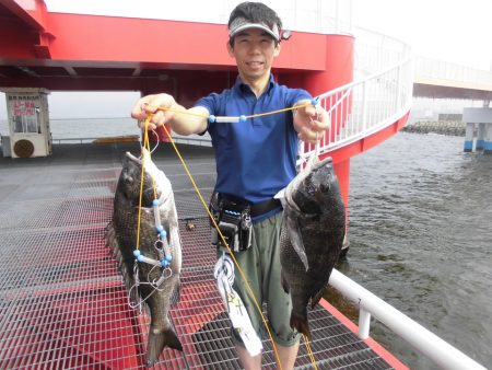 尼崎市立魚つり公園 釣果
