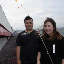 尼崎市立魚つり公園 釣果