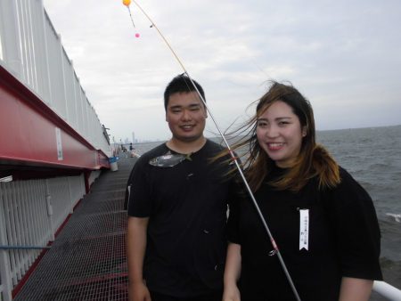 尼崎市立魚つり公園 釣果