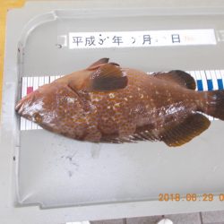 姫路市立遊魚センター 釣果