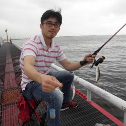 尼崎市立魚つり公園 釣果