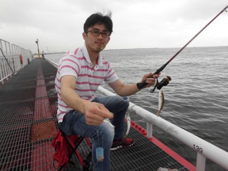 尼崎市立魚つり公園 釣果