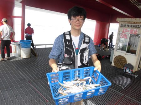 尼崎市立魚つり公園 釣果