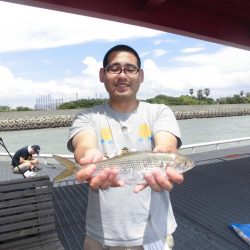 尼崎市立魚つり公園 釣果