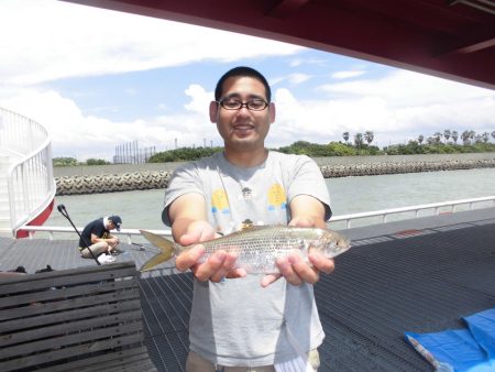 尼崎市立魚つり公園 釣果