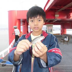 尼崎市立魚つり公園 釣果