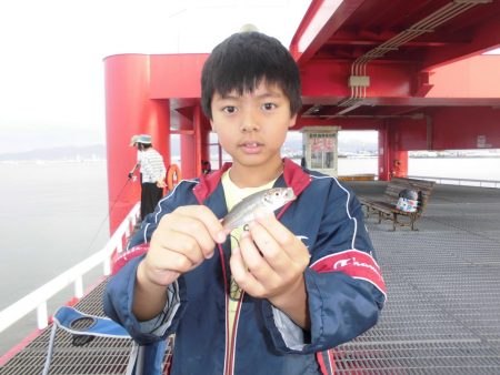 尼崎市立魚つり公園 釣果