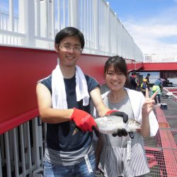 尼崎市立魚つり公園 釣果