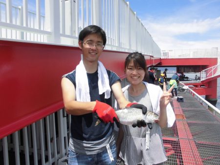 尼崎市立魚つり公園 釣果