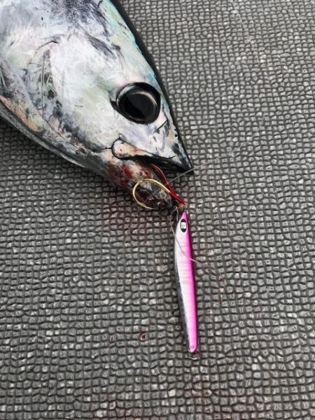 へいみつ丸 釣果